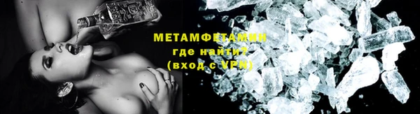 шишки Абаза
