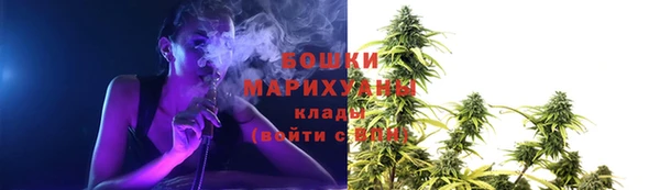 шишки Абаза