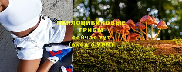 шишки Абаза