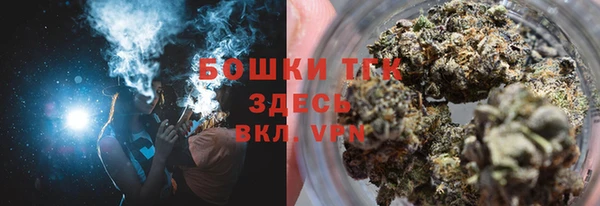 сатива Россошь