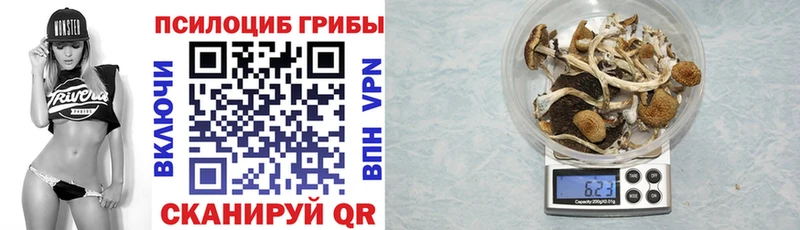 Псилоцибиновые грибы мухоморы  Яблоновский 